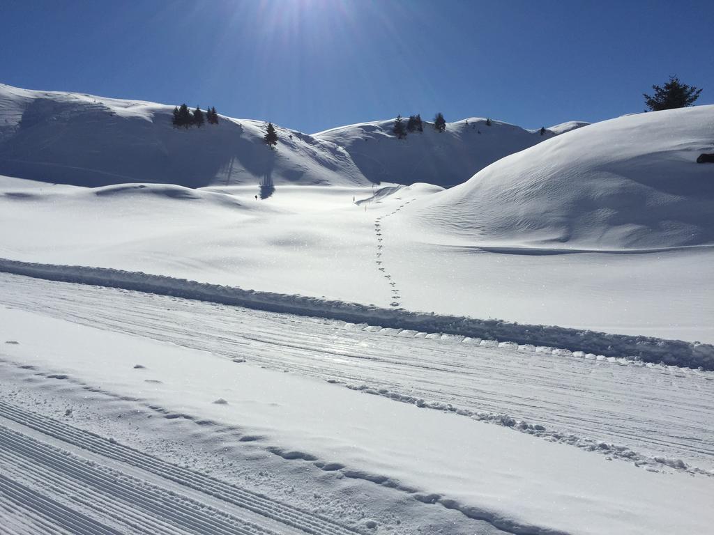Appartements Ski Rent Michael キッツビュール エクステリア 写真